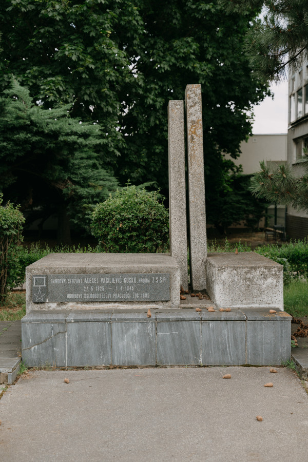 Pomník Guskovi